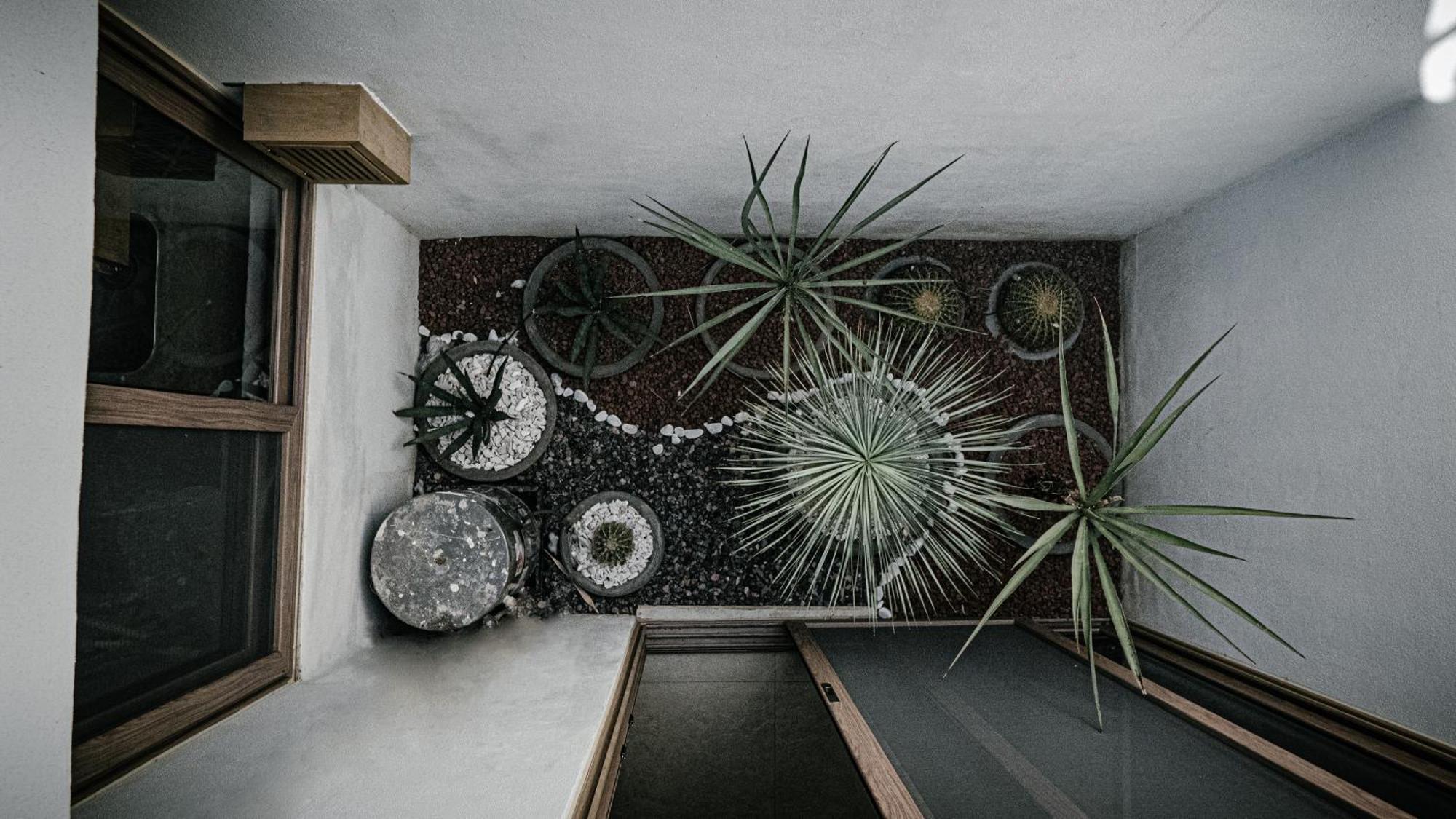 Casa Al Mar Otel La Paz Dış mekan fotoğraf